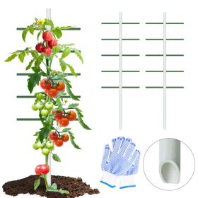 7ft*2ft 2PC  White Round Tube Climbing Trellis, Stylish, Simple, Durable, And Creates A Beautiful Space Filled With Greenery. (Option: 7ft2ft)